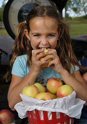 Girl eating apple at Hemmingford orchard south of Montreal fall activities