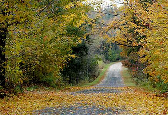 chemin en automne pres de Montreal sur la frontiere americaine