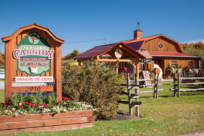 Verger Cassidy Orchard