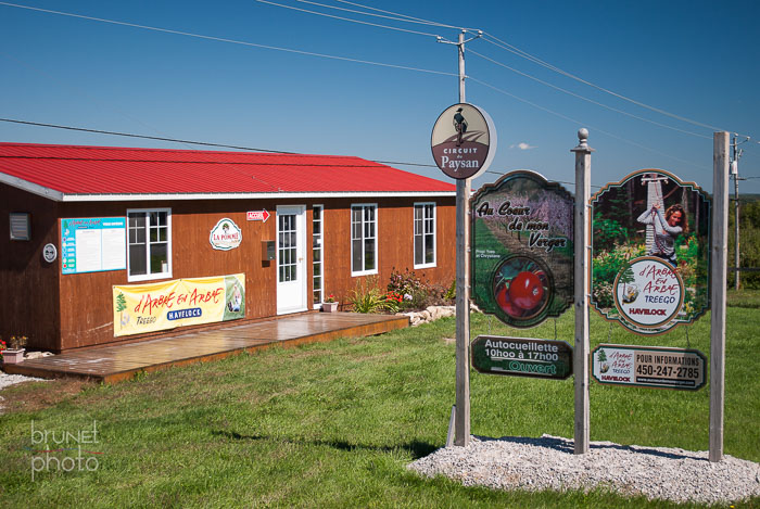 Au Coeur de mon verger apple orchard