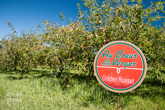 Au Coeur de mon verger apple orchard