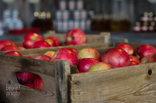 apple bushel boxes