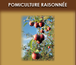 Pomiculture raisonee