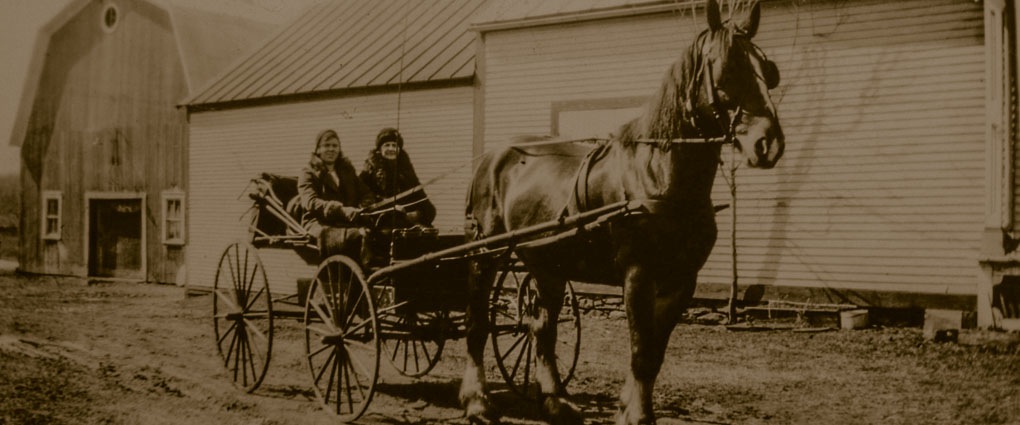 horse and carriage apple farm