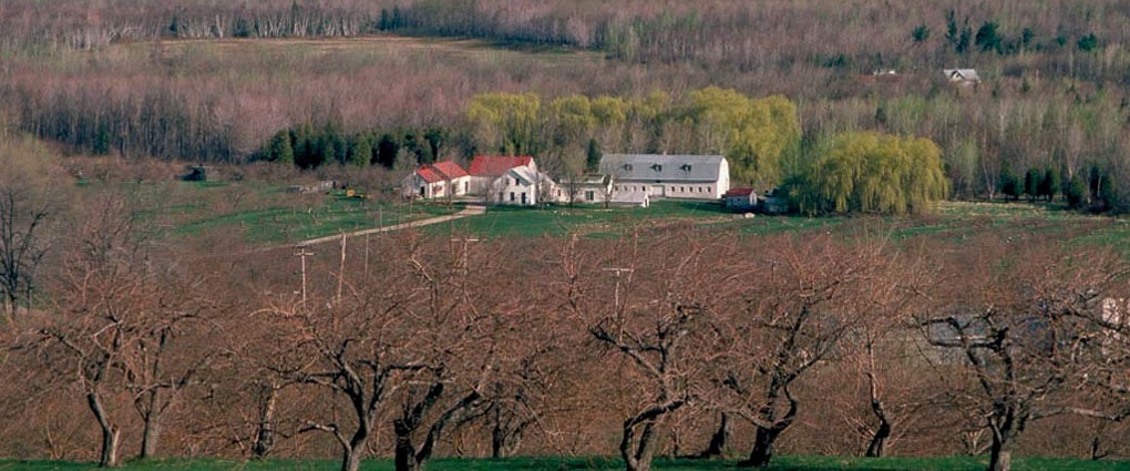 vergers de pommes